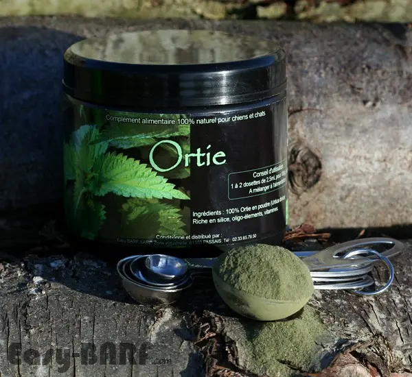 Nettle