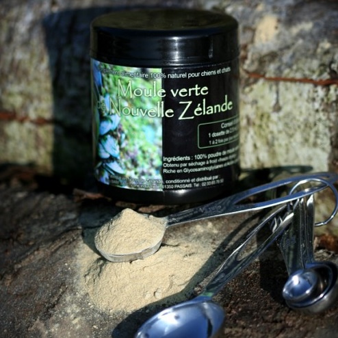 Moule verte de Nouvelle Zélande